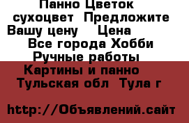 Панно Цветок - сухоцвет. Предложите Вашу цену! › Цена ­ 4 000 - Все города Хобби. Ручные работы » Картины и панно   . Тульская обл.,Тула г.